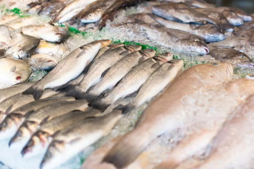 �������������� ����