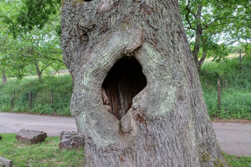 ...