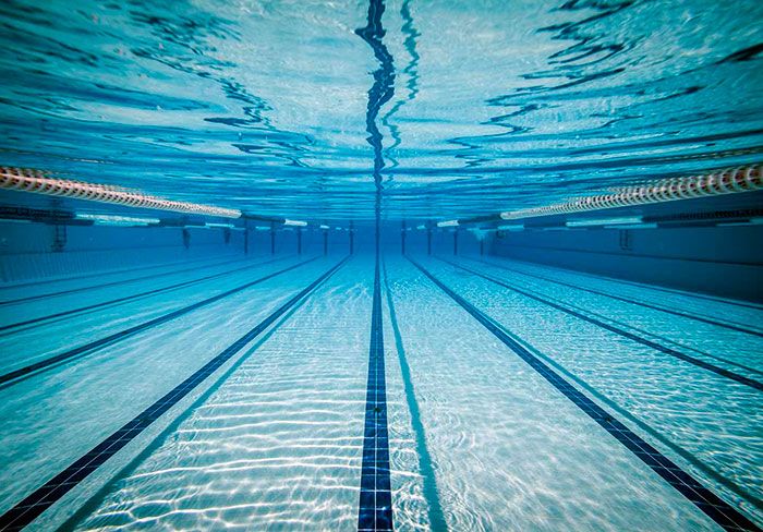 ������������ �������