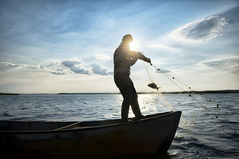 ����� � ����