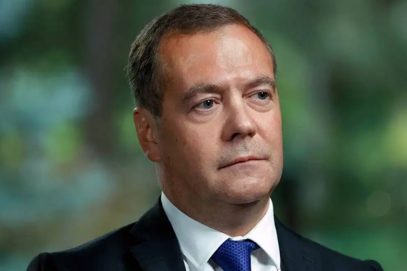 Дмитрий Медведев, зампред Совбеза России