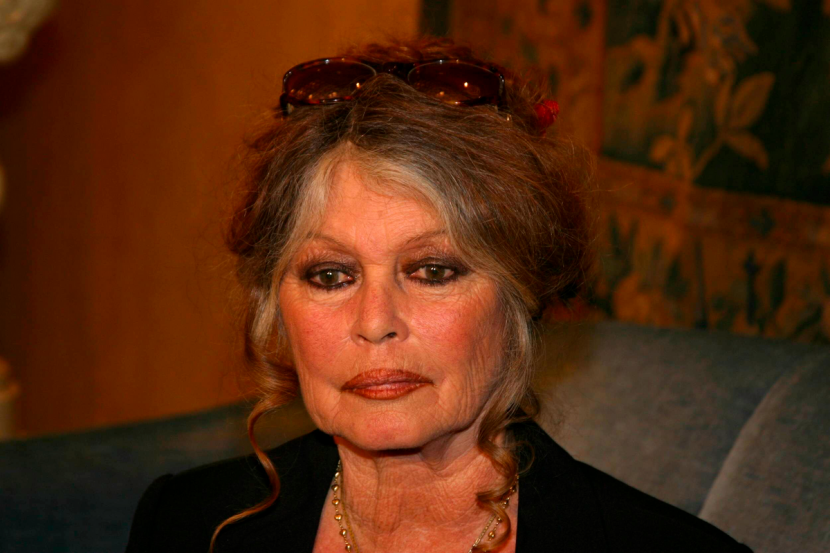 ������ �����