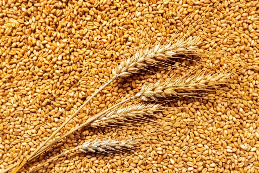 �����